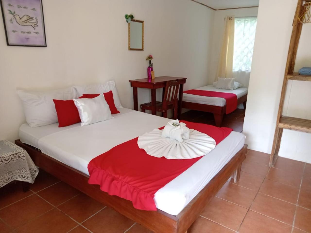 All Rankins Eco-Lodge Tortuguero Zimmer foto