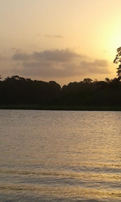 All Rankins Eco-Lodge Tortuguero Exterior foto
