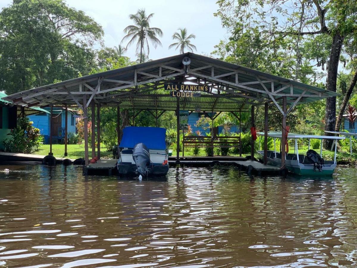 All Rankins Eco-Lodge Tortuguero Exterior foto