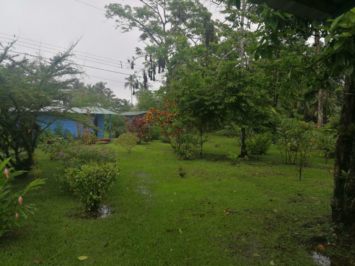 All Rankins Eco-Lodge Tortuguero Exterior foto
