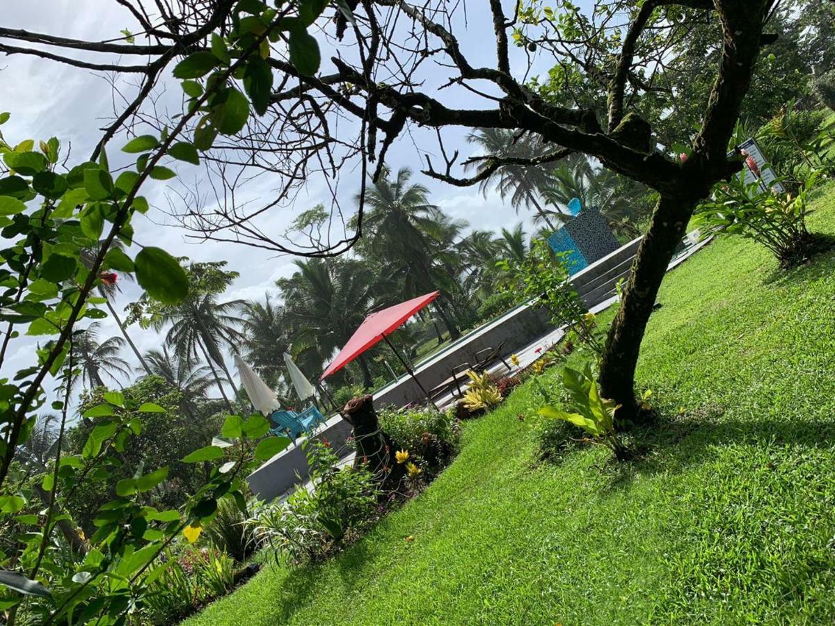 All Rankins Eco-Lodge Tortuguero Exterior foto