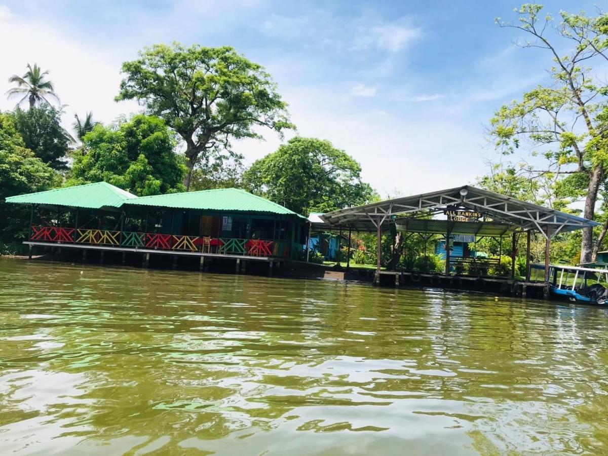 All Rankins Eco-Lodge Tortuguero Exterior foto